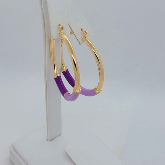 Brand New Brazilian 18k Gold Filled Purple Hoops Earrings - Picture 1 of 6